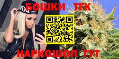 индика Обнинск
